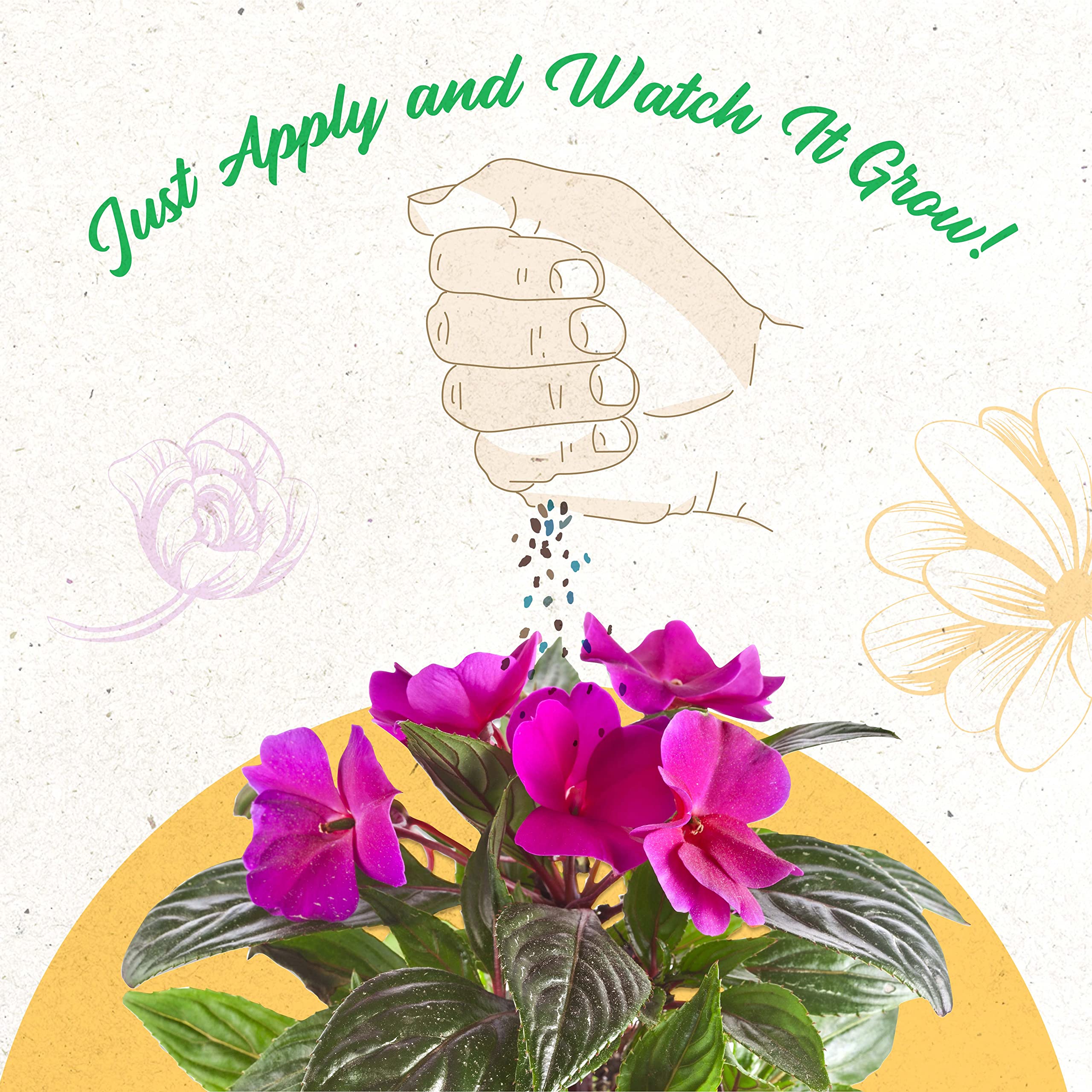 ColorStar Nelson Plant Food