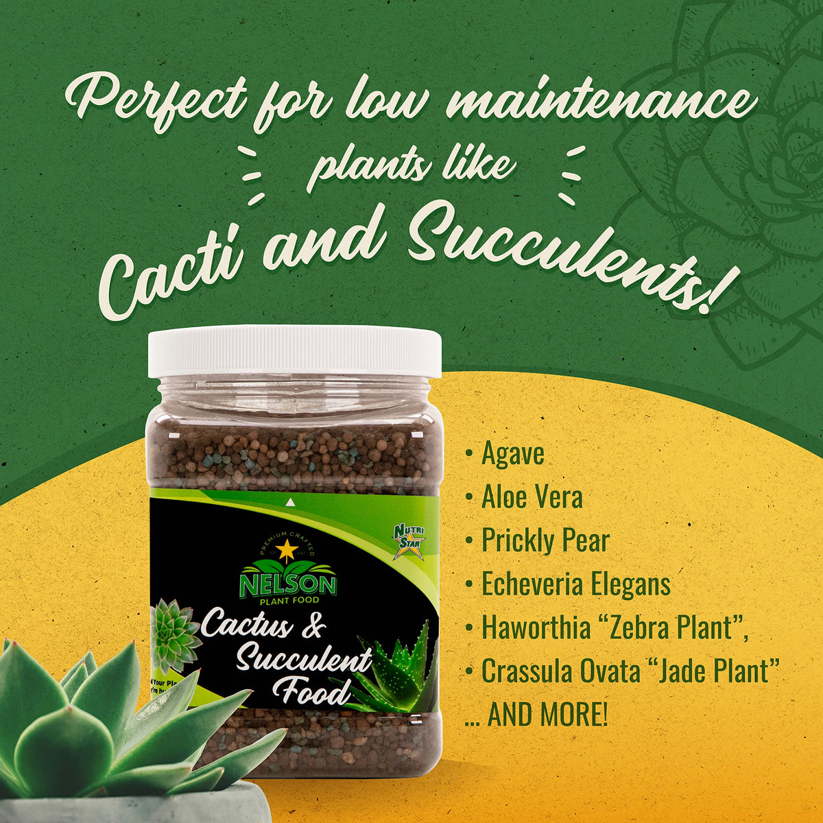 succulent and cactus food NutriStar Cactus and Succulent