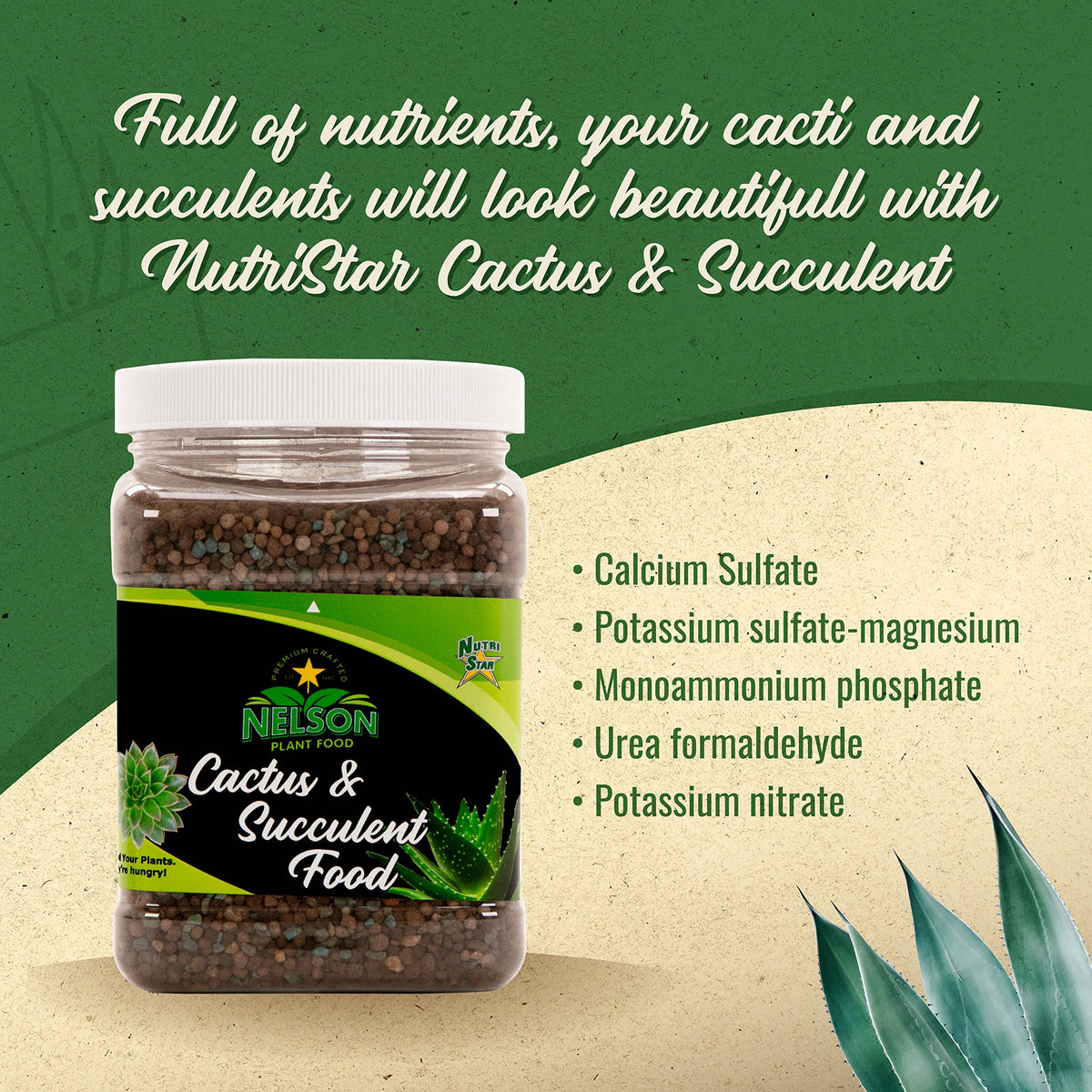 NutriStar Cactus and Succulent - Nelson Plant Food